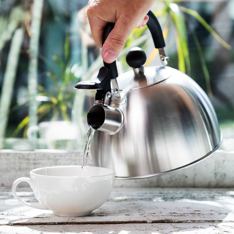 Mr. Coffee 2 Quart Stainless Steel Whistling Tea Kettle with Nylon Handle