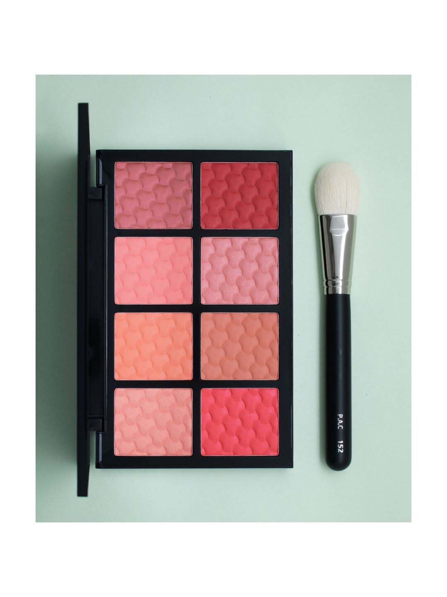 Bronson Professional Blush Brush