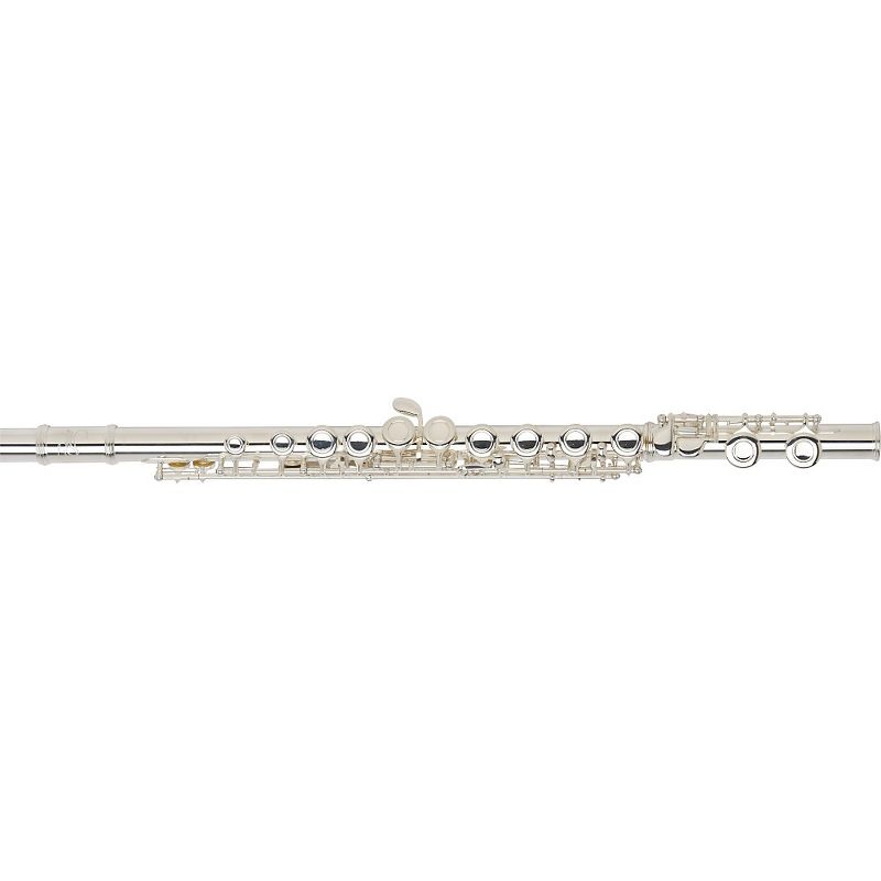 Allora AFL-250 Student Series Flute Offset G C-Foot