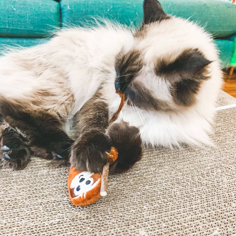 Quirky Kitty Silvervine Stick Sloth Cat Toy - Brown