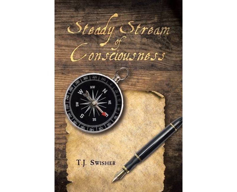 Stepwell - (Seattle Youth Poet Laureate) by  Azura Tyabji (Paperback)