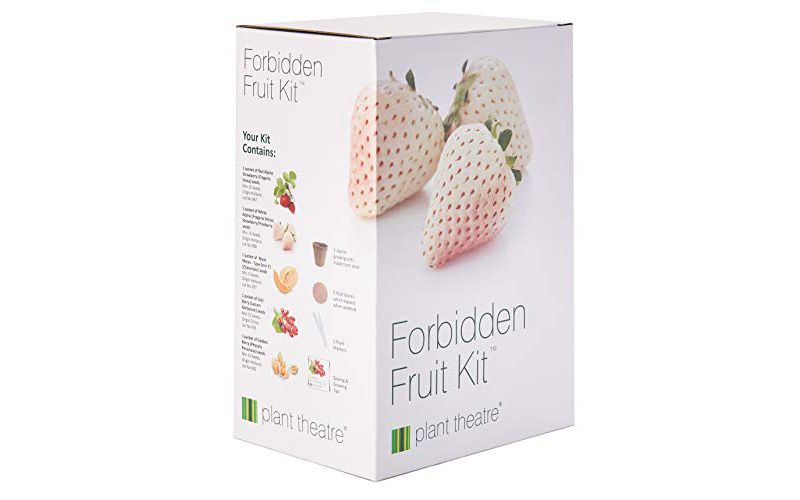 Plant Theatre Forbidden Fruit Kit - Plant Seed Kit - 5 Delectable Fruits to Grow - Everything You Need to Start Growing in one Box!