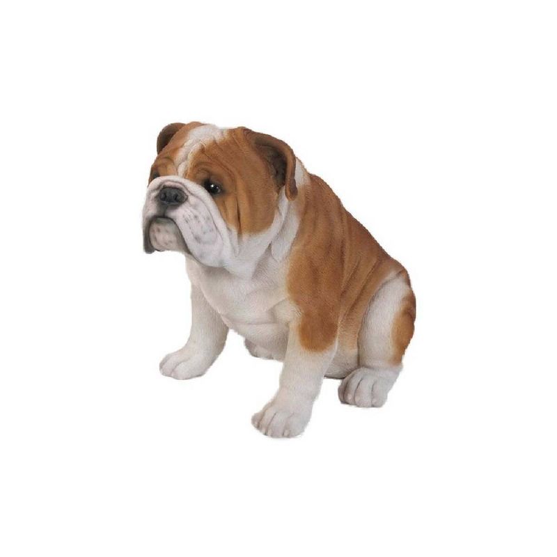 14.5" Polyresin Sitting Large Bulldog Statue Brown/White - Hi-Line Gift