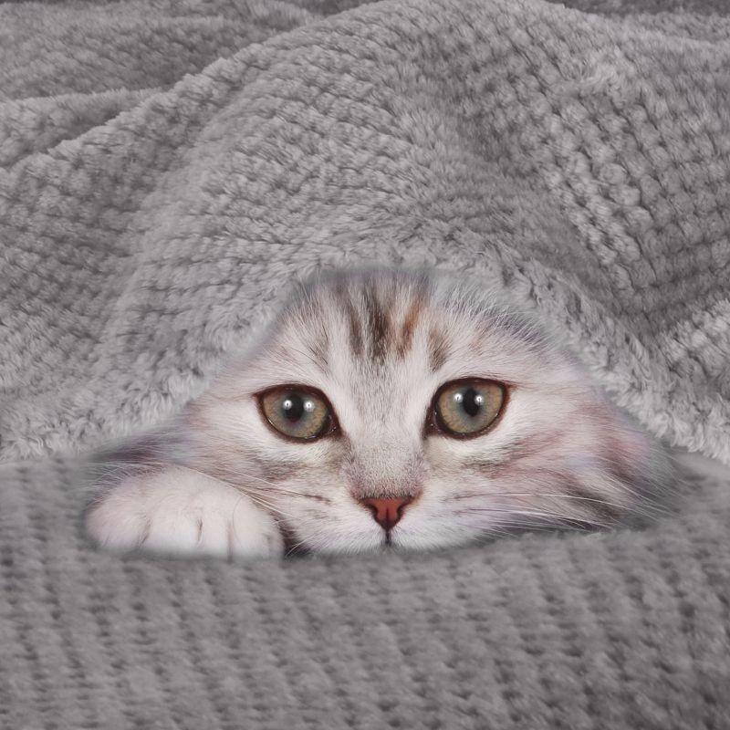 1 Pc Queen Faux Fur Lambswool Reversible Plaid Pattern Bed Blankets Purple  - PiccoCasa