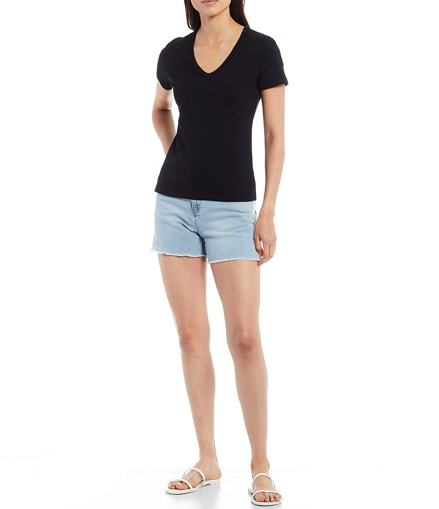 A Loves A Short Sleeve V-Neck Rib Knit Tee