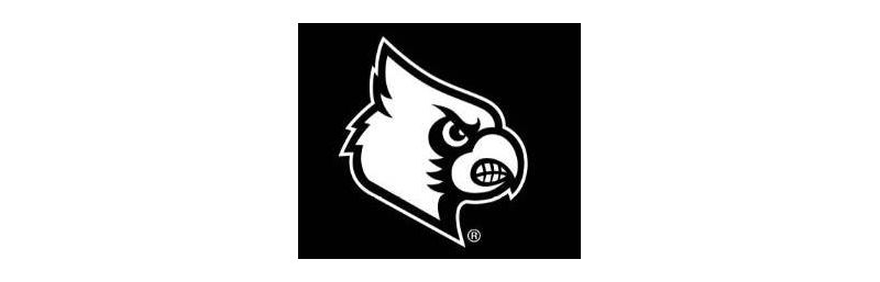 Novelty Socks 15.25" Jack Russell Terrier Socks Premium Quality E & S Pet  -  Socks