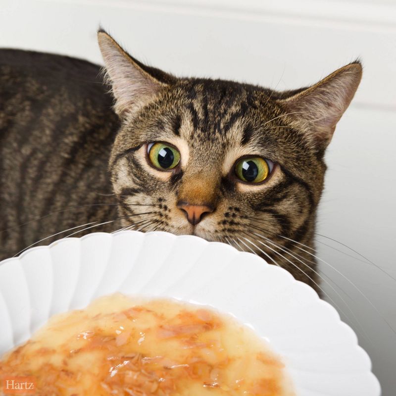 Delectables Stew with Tuna & Whitefish Lickable Cat Treats - 1.4oz