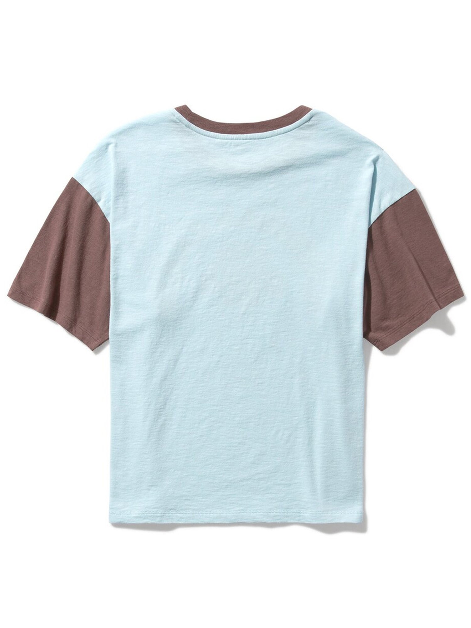American Eagle Outfitters Blue & Brown Cotton Printed T-Shirt