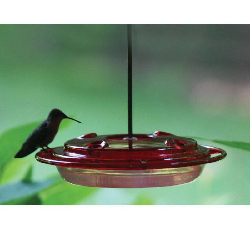 Birds Choice 8oz Hummingbird Bird Feeder