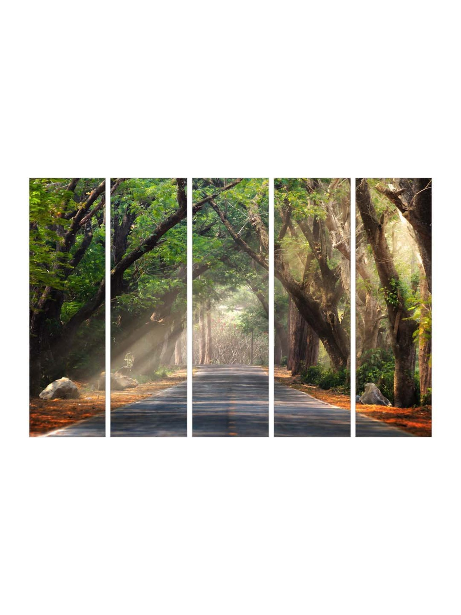 999Store Green Tree Covered Road Art 5 Frame MDF Paintings