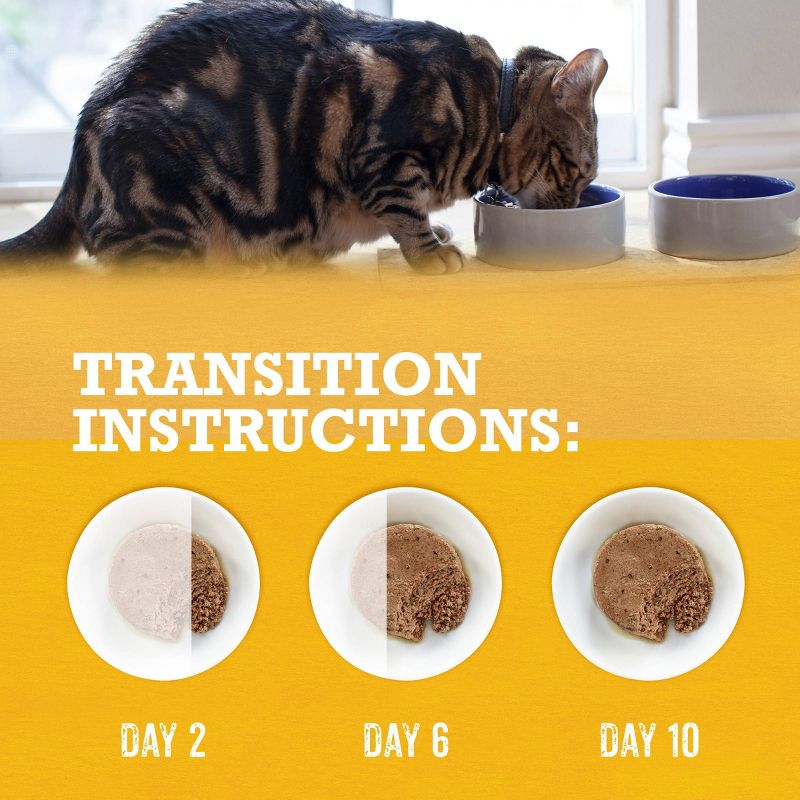 Purina Beyond Grain Free Paté Whitefish, Chicken & Salmon Premium Wet Cat Food - 3oz/6ct Variety Pack