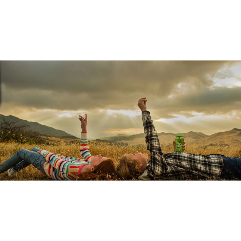 Gogo Squeez Applesauce On The Go Pouch - 3.2oz