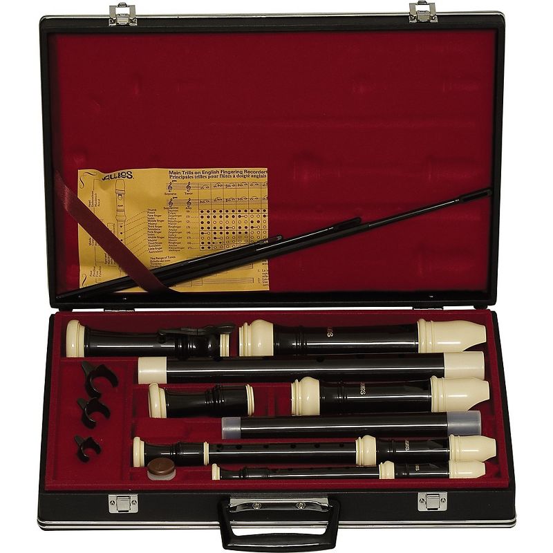 Allora AFL-250 Student Series Flute Offset G C-Foot