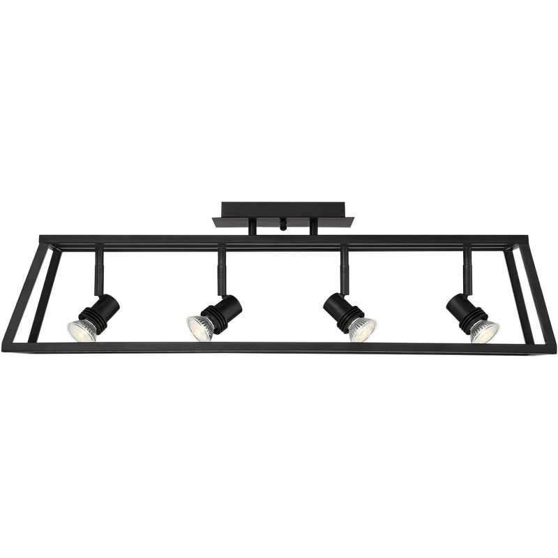 Pro Track Carmel 4-Light Flat Black Cage Track Fixture