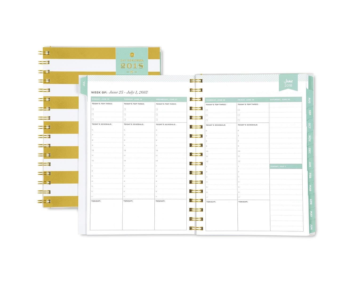 Day Designer for Blue Sky 2018-2019 Academic Year Weekly & Monthly Planner, Flexible Cover, Twin-Wire Binding, 5.8" x 8.6", Gold Stripe Design