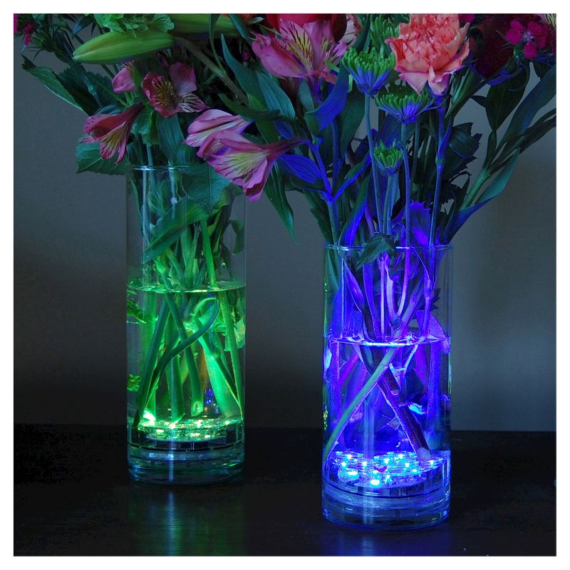 2ct Multi Color LED Battery Control Lights