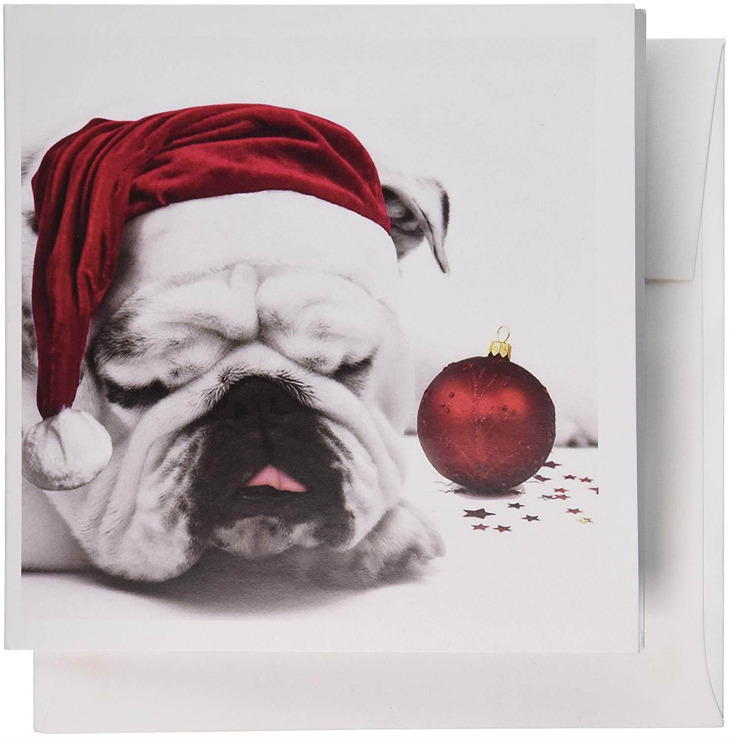 3dRose Sleeping Bulldog in a Santa Hat Christmas Card photo courtesy of Esther Matheus - Greeting Cards, 6 x 6 inches, set of 6 (gc_62826_1)