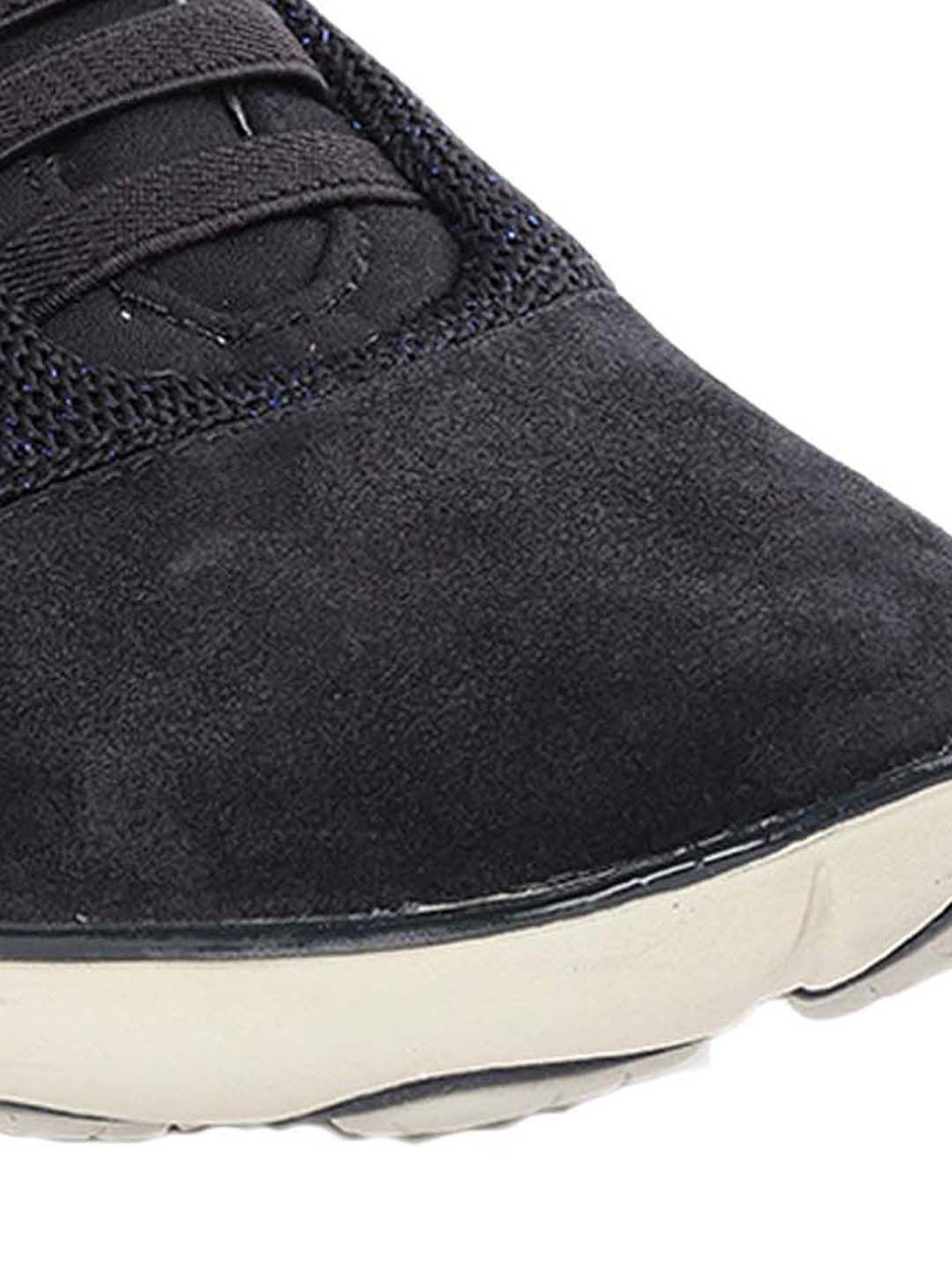 Geox Women's Navy Sneakers