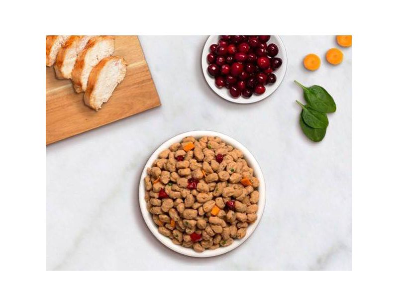 Freshpet Select Grain Free Small Wet Dog Chicken Recipe Refrigerated Wet Dog Food - 1lb