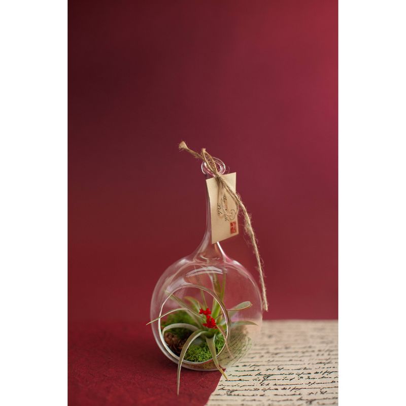 LiveTrends Letter to Santa