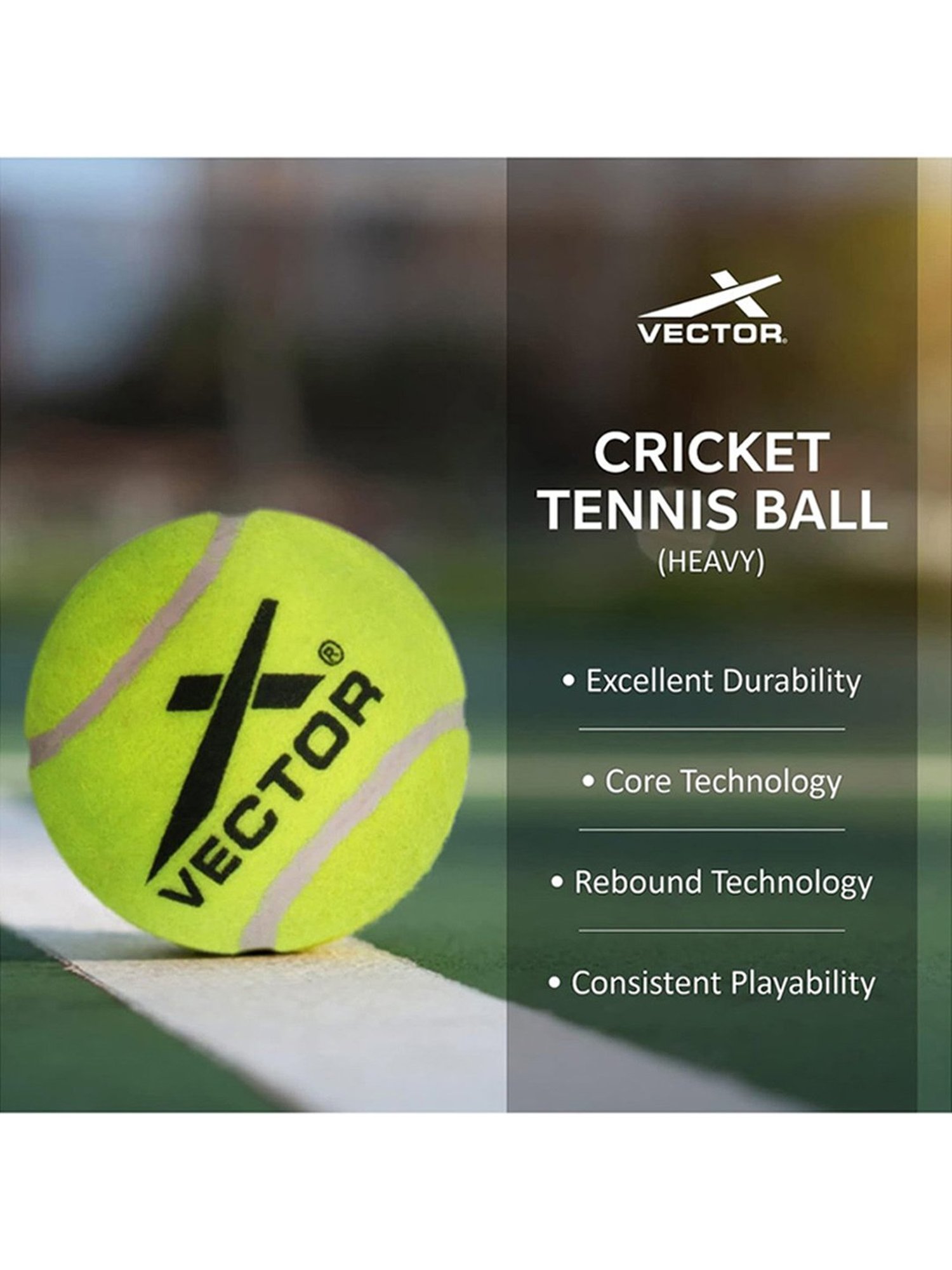 Vector X Pack of 3 Cricket Tennis Balls (Lime) Size - 1.57 Inc
