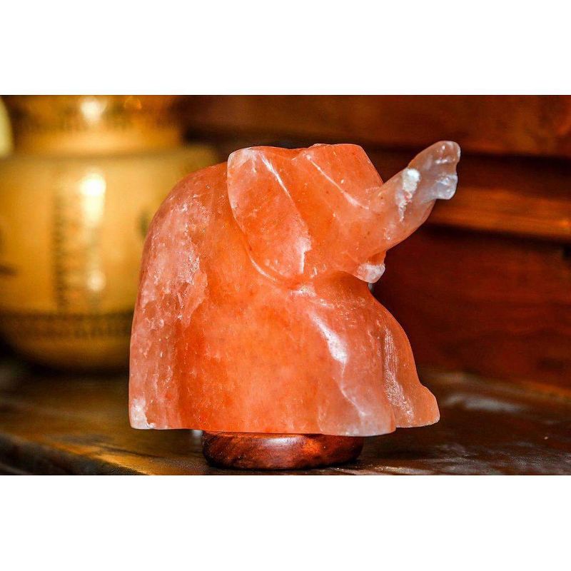 Elephant Salt Lamp Pink - Q&A Himalayan Salt