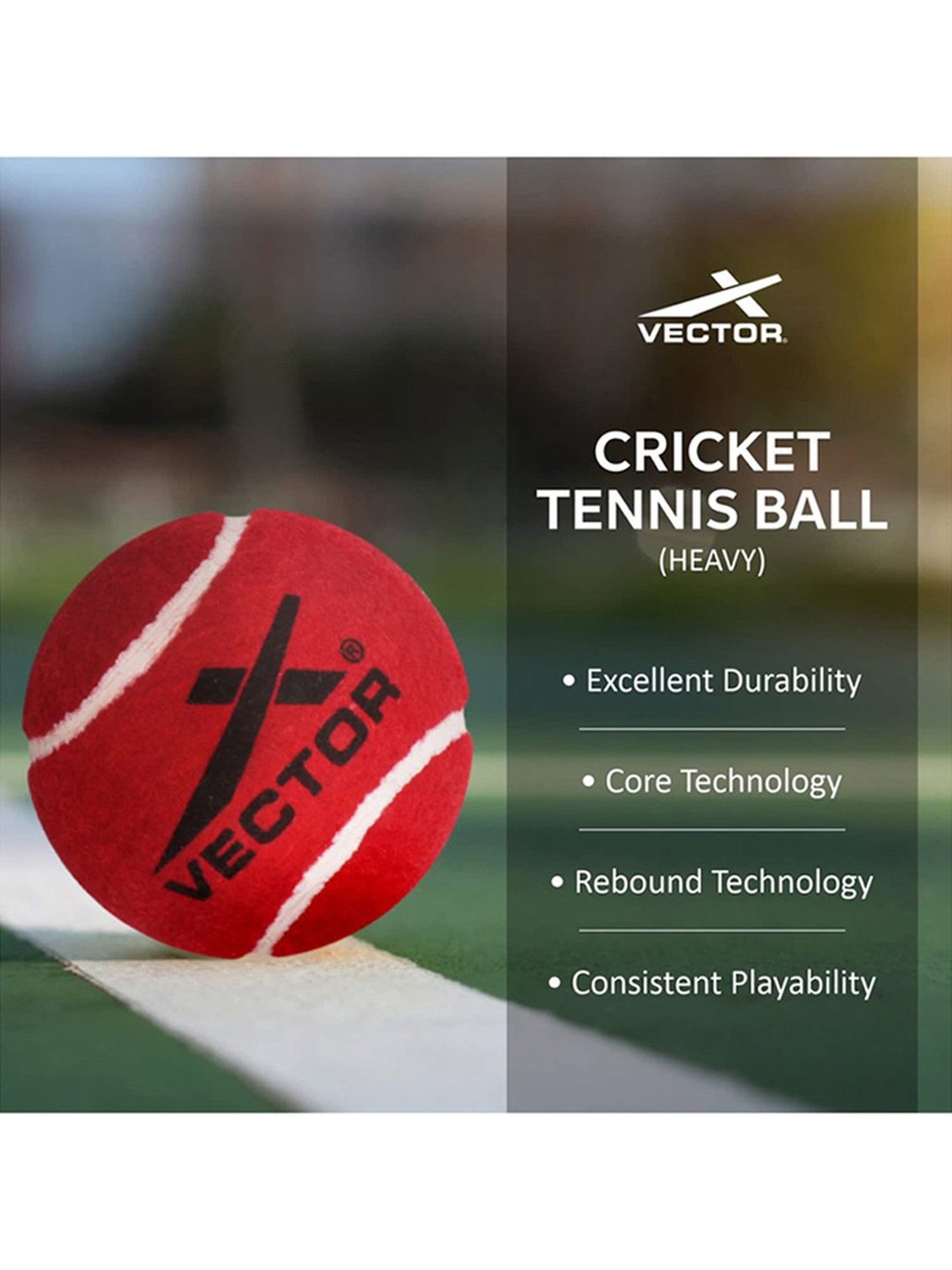 Vector X Pack of 6 Cricket Tennis Balls (Red) Size - Standard