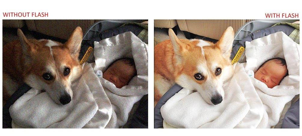 Sony Alpha a6500 Bounce & Swivel Power Flash (Multi-Mode)