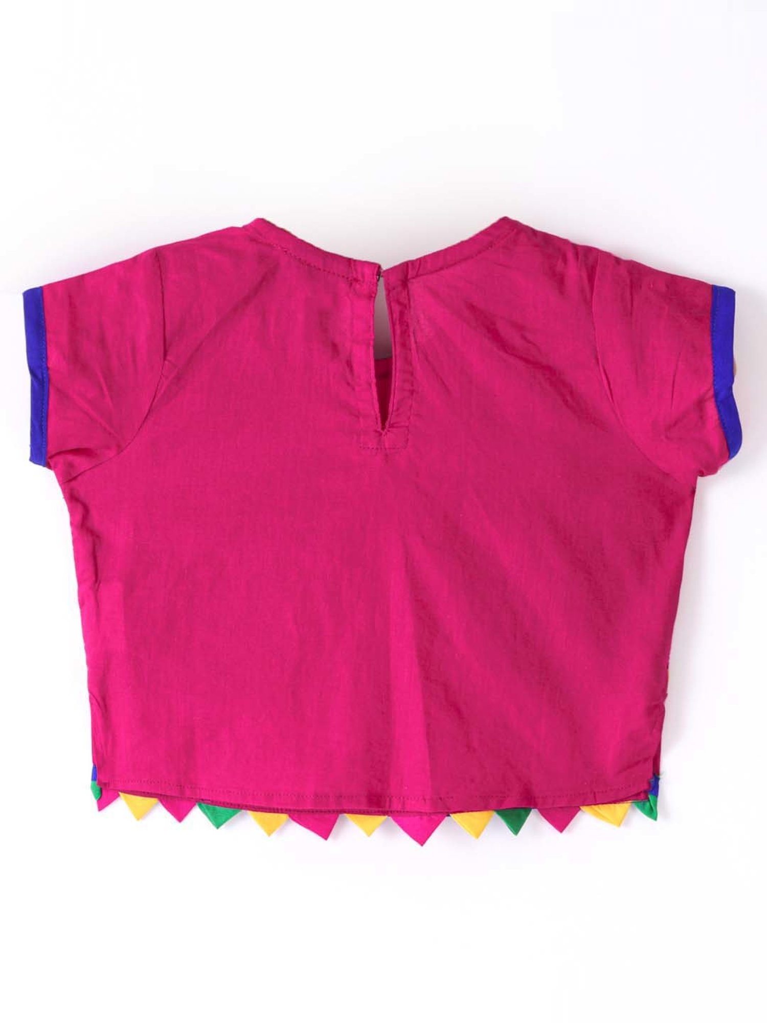 TWISHA Kids Pink & Green Embroidered Top Set