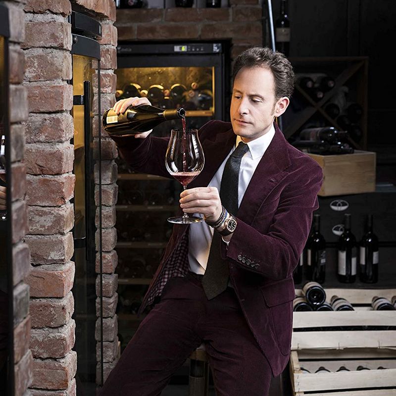 Riedel 29 Ounce Performance Pinot Noir Clear Crystal Wine Glass Set for Light Bodied Wines with Microfiber Polishing Cloth, (2 Pack)