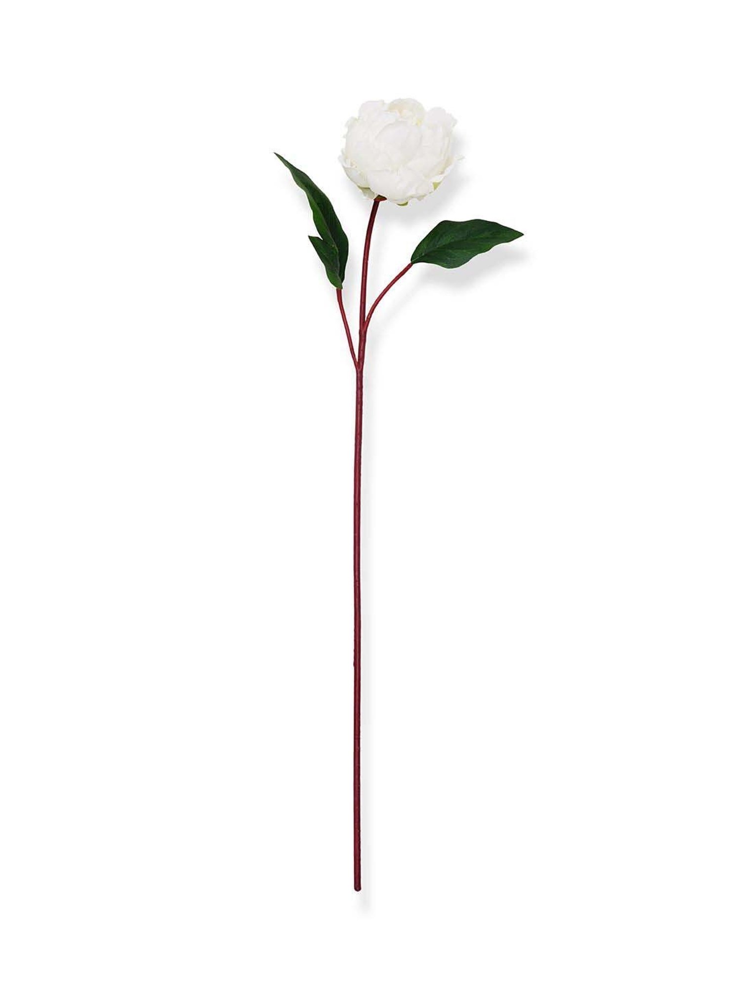Pure Home and Living Ivory Plastic Artificial Peony Flower Stem