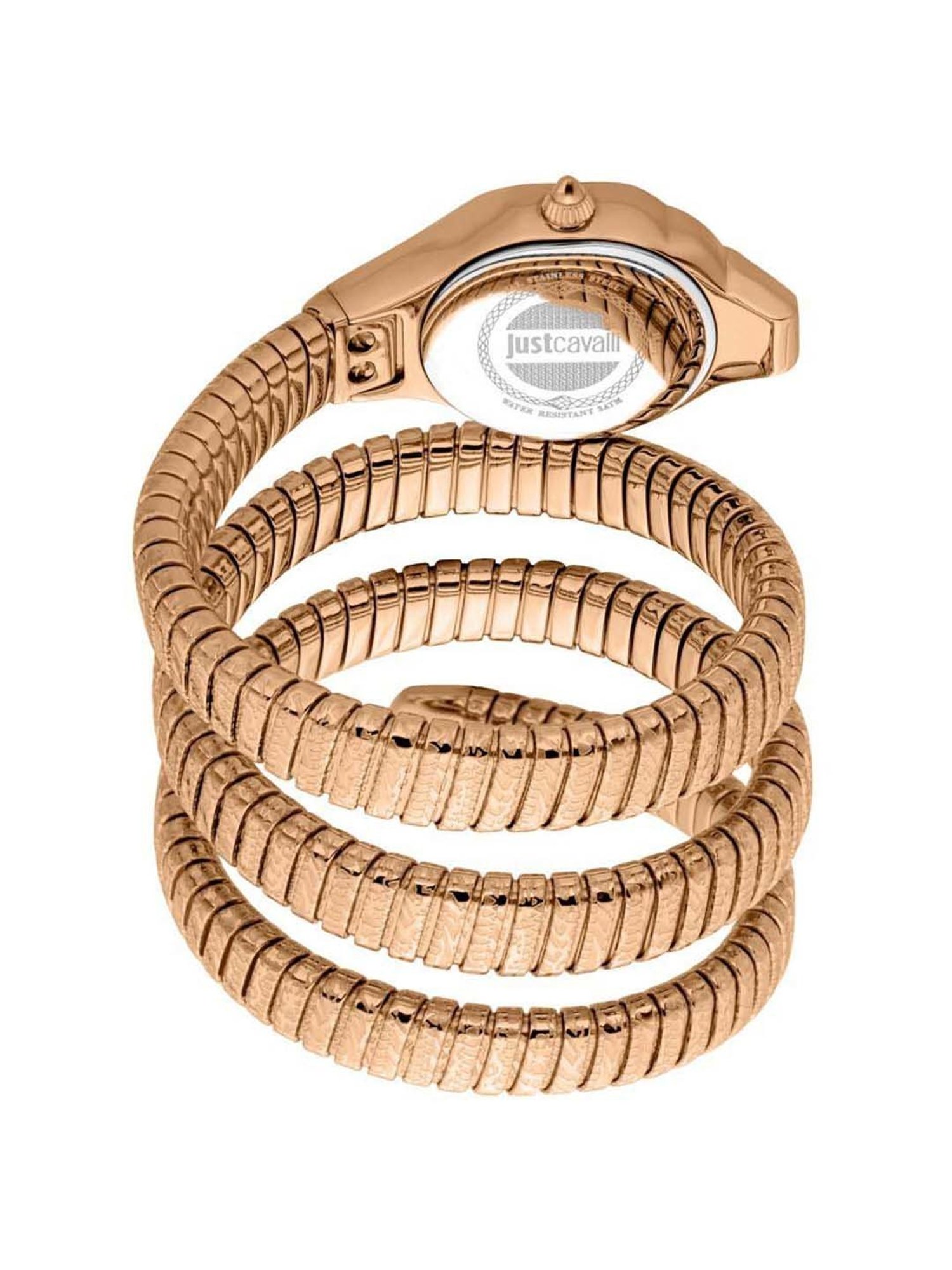 Just Cavalli Ravenna JC1L271M0045 Analog Watch for Women