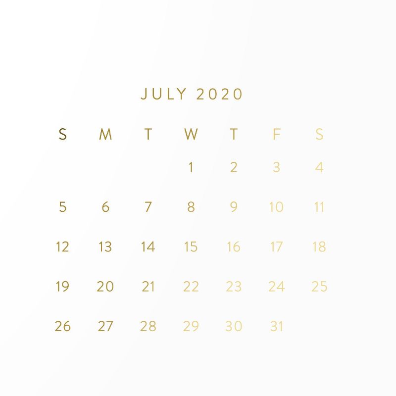 2020-2021 Academic 14" x 14" Reference Wall Calendar - Sugar Paper Essentials™