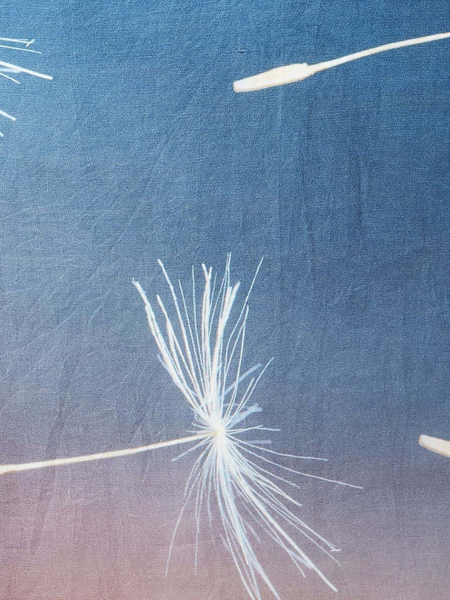 Unnati Silks Red Silk Printed Saree With Unstitched Blouse