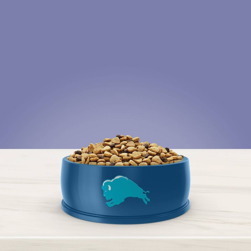 Blue Buffalo True Solutions Jolly Joints Mobility Support Adult Dry Dog Food - 20lbs