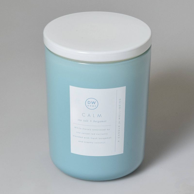 16oz Wellness Spa/Calm Sea Salt and Bergamot Candle - DW Home