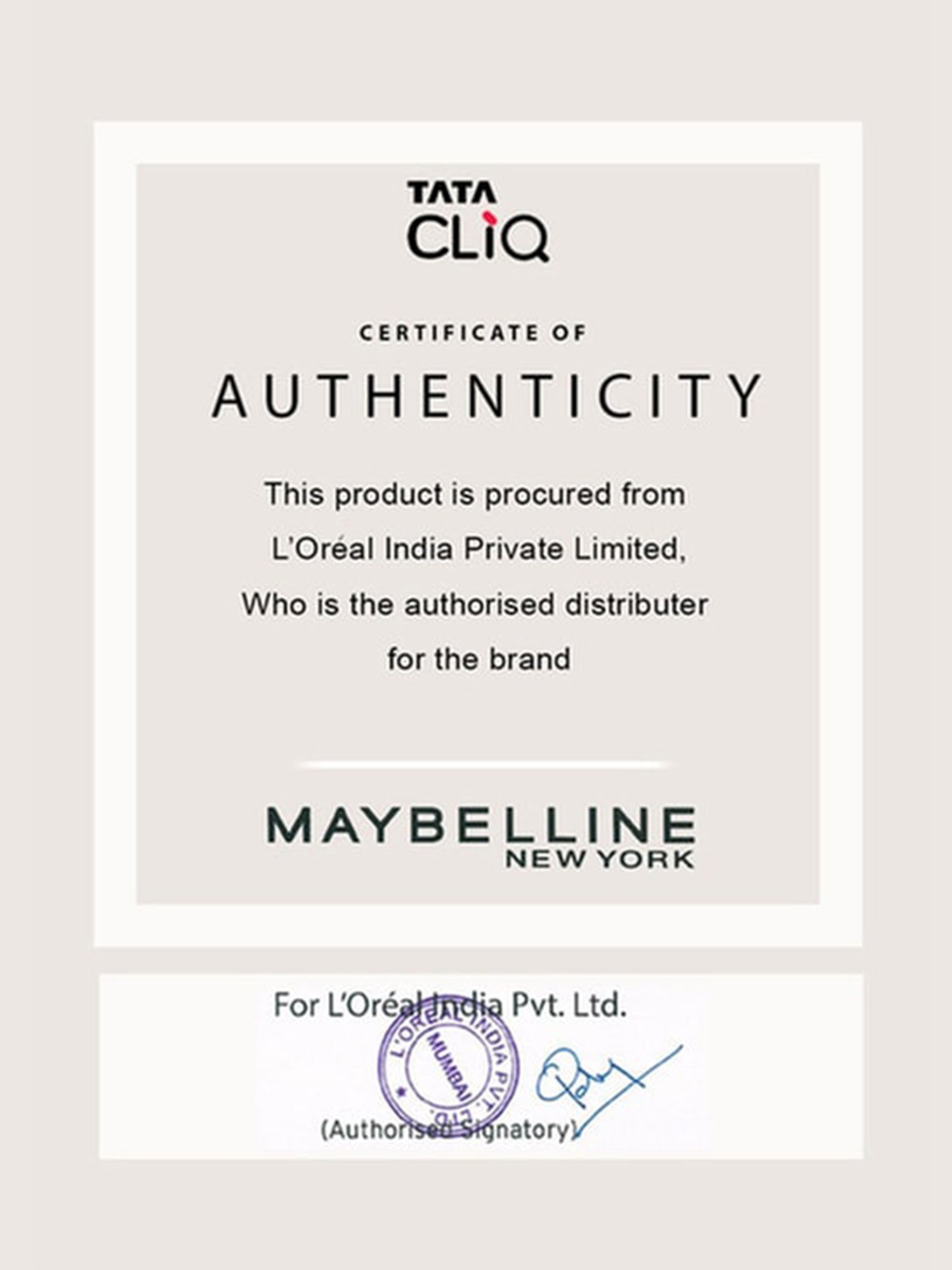 Lenphor Shimmery Dust Powder - 4.8 gm