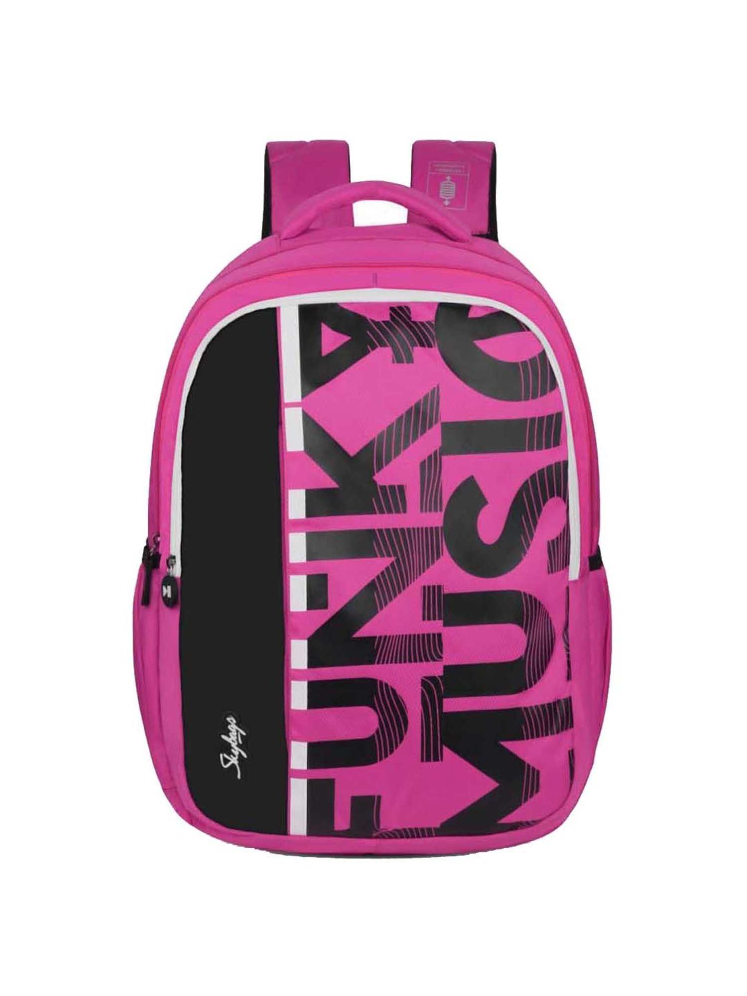 Skybags Stan Pro 01 35 Ltrs Pink Medium Backpack
