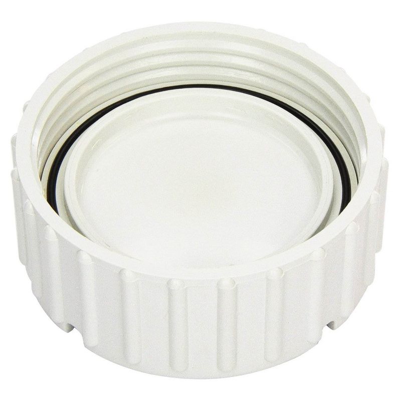Zodiac Blank Cap Replacement for C Series Water Sanitizers, White | W193821