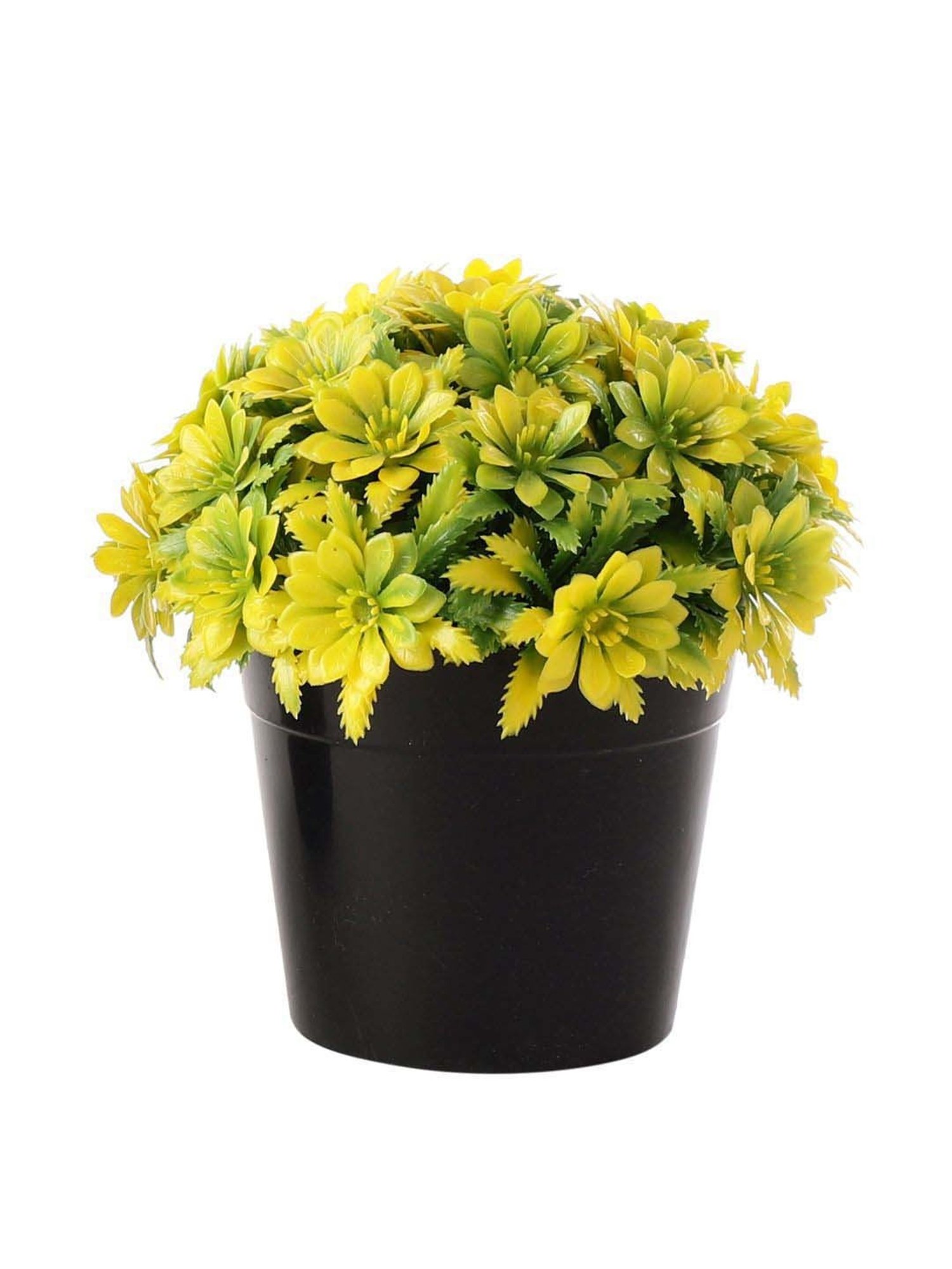 Foliyaj Multicolor Plastic Artificial Plants With Gerba Flowers - Set of 2