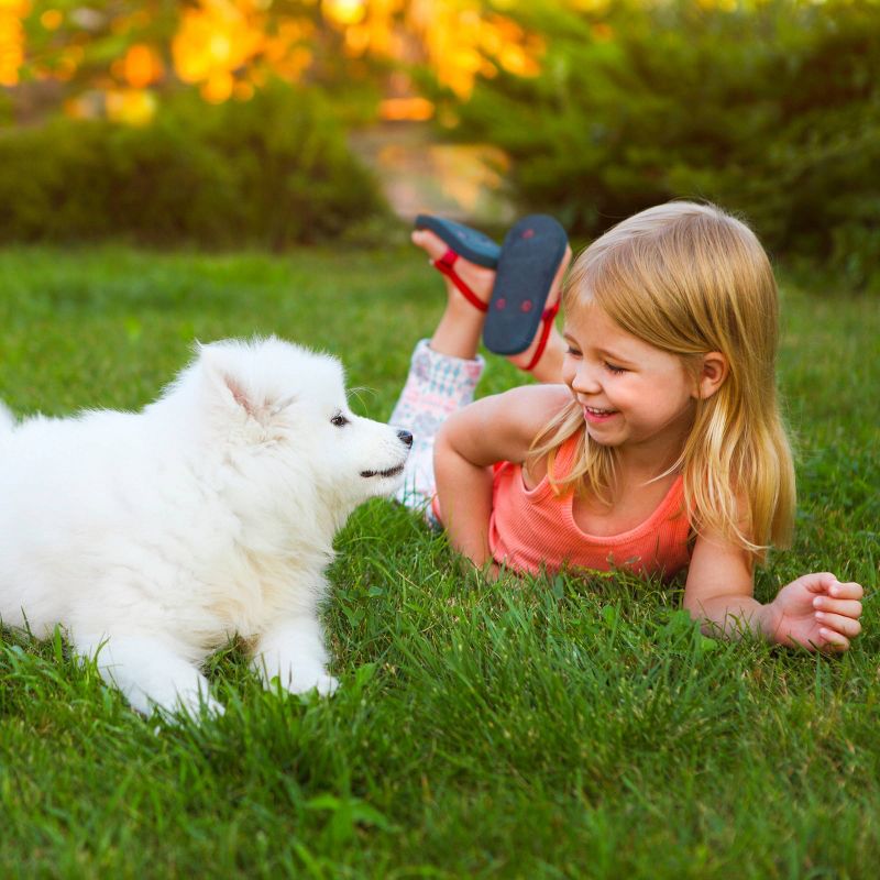 Infants' Dye-Free Acetaminophen Fever Reducer/Pain Reliever Liquid - Grape - 2 fl oz - up & up™