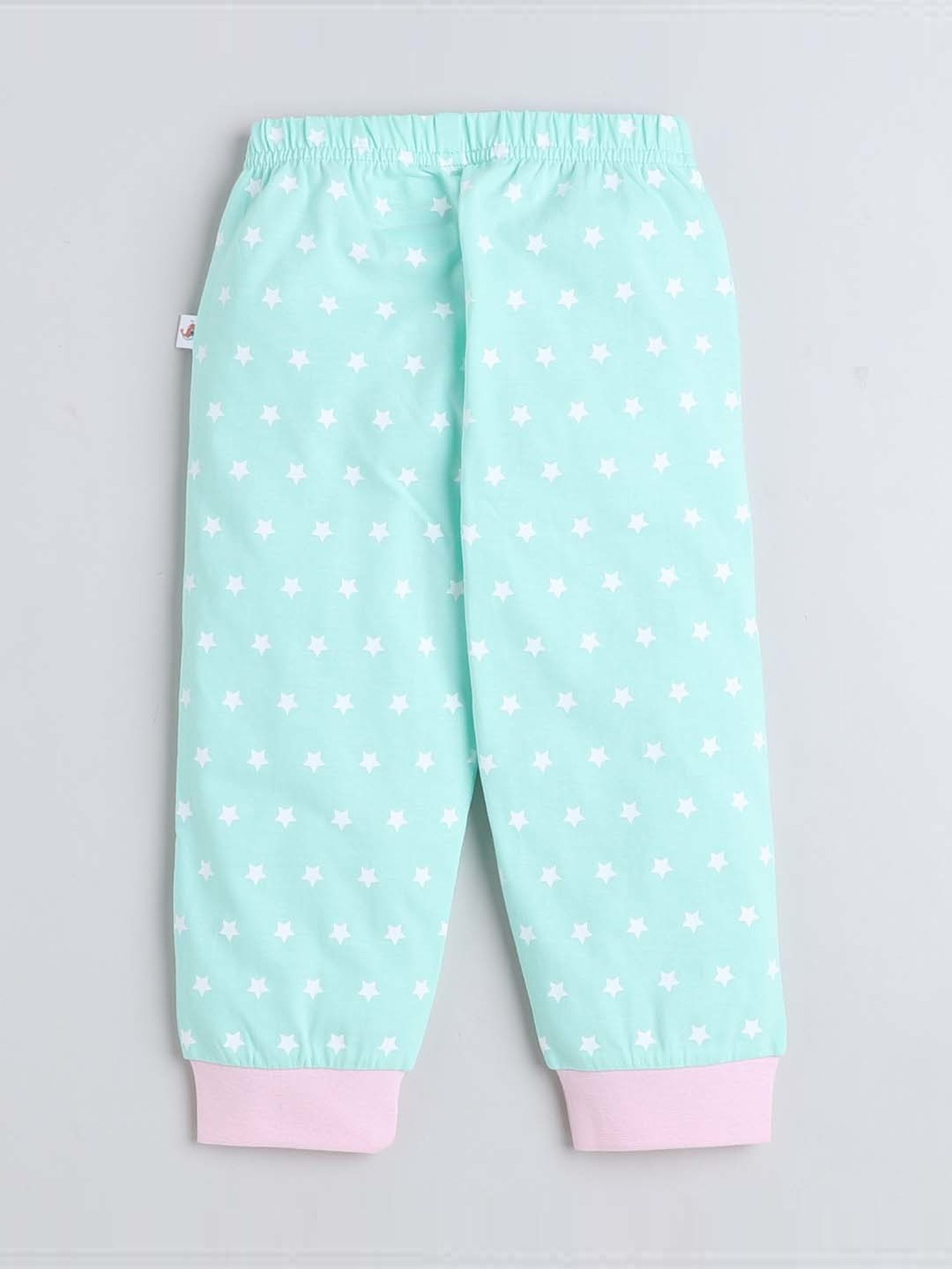 Bumzee Girls Mint Green & Purple Cotton Printed Full Sleeves T-Shirt Set