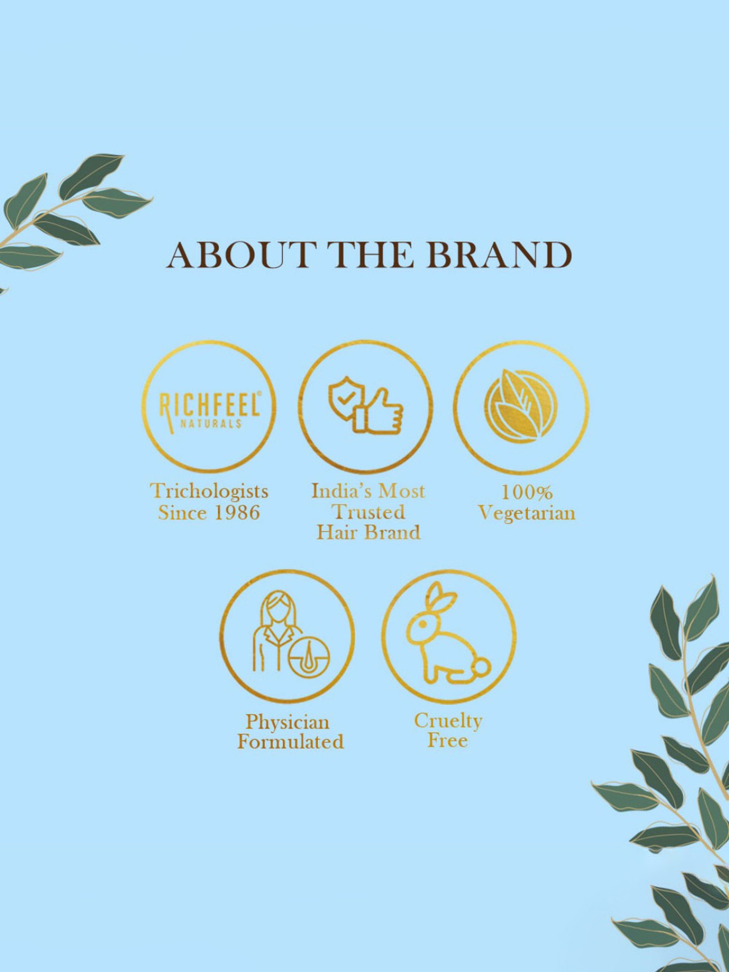 Richfeel Skin Whitening Facial Kit (30 gm) - Pack of 2