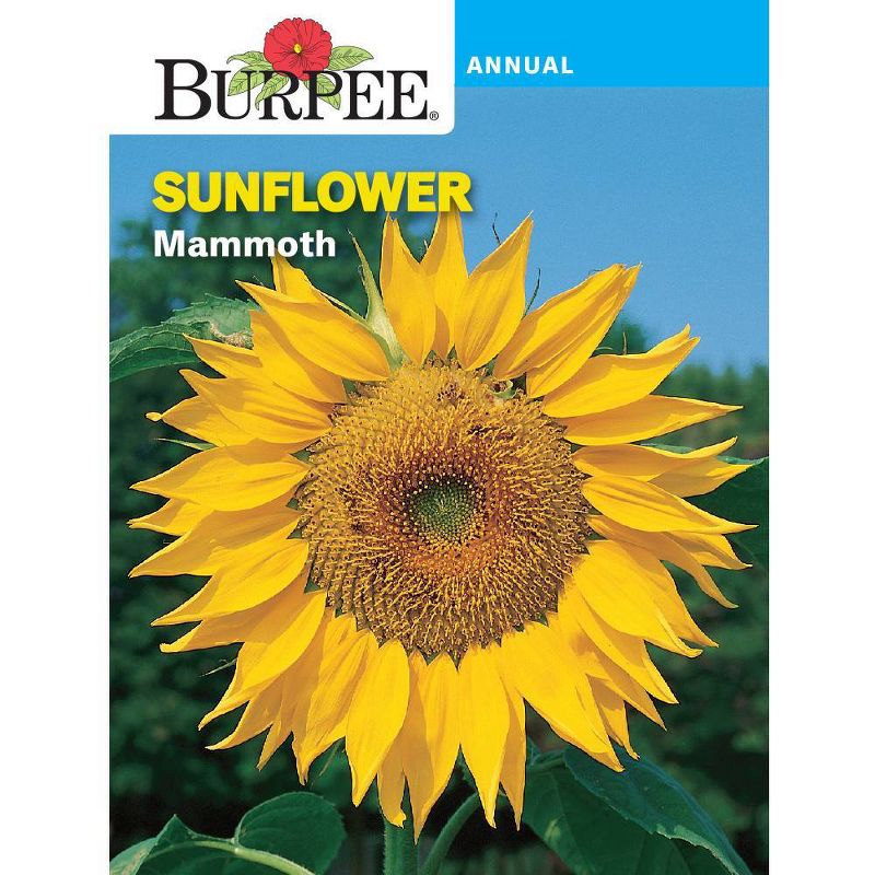 Burpee Ultimate Herb Seed Collection - 12pk