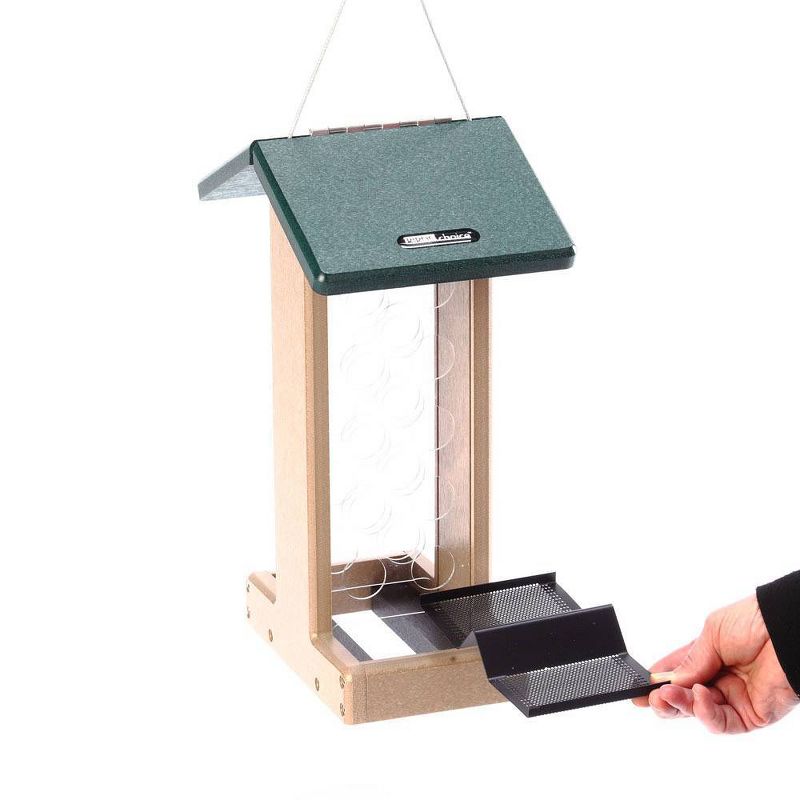 Birds Choice Whole Peanut Blue Jay Bird Feeder with Green Roof