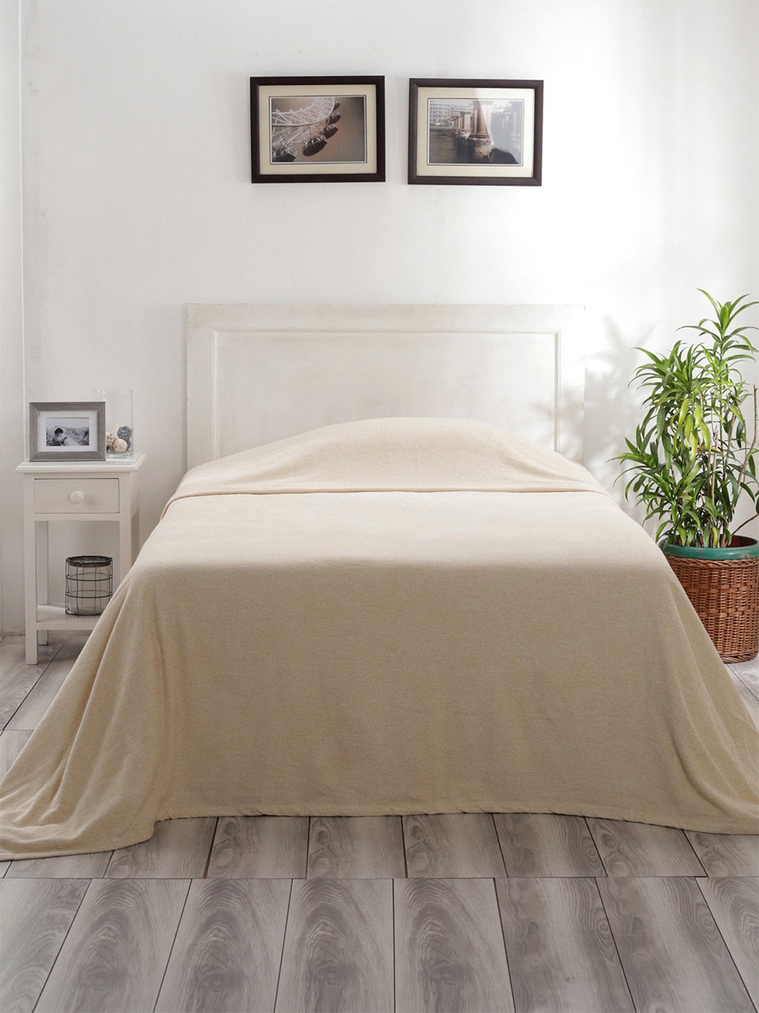 Maspar Colorart Charlotte Solid Beige 110 TC Cotton Blend Single Bed Cover