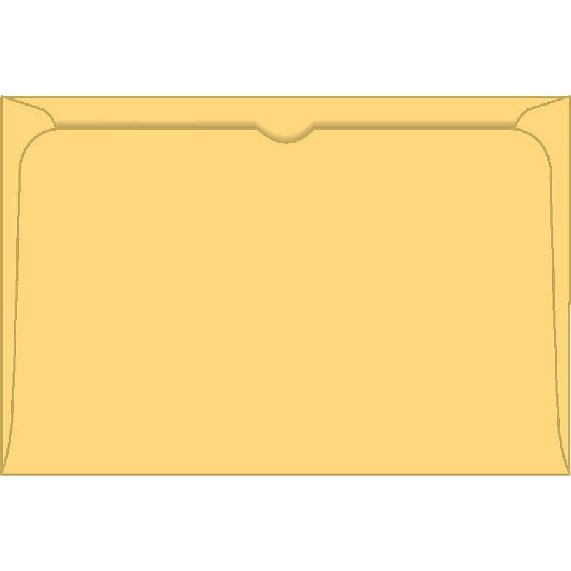 Medical Arts Press Filing Envelopes, 5 X 8 Card 32070