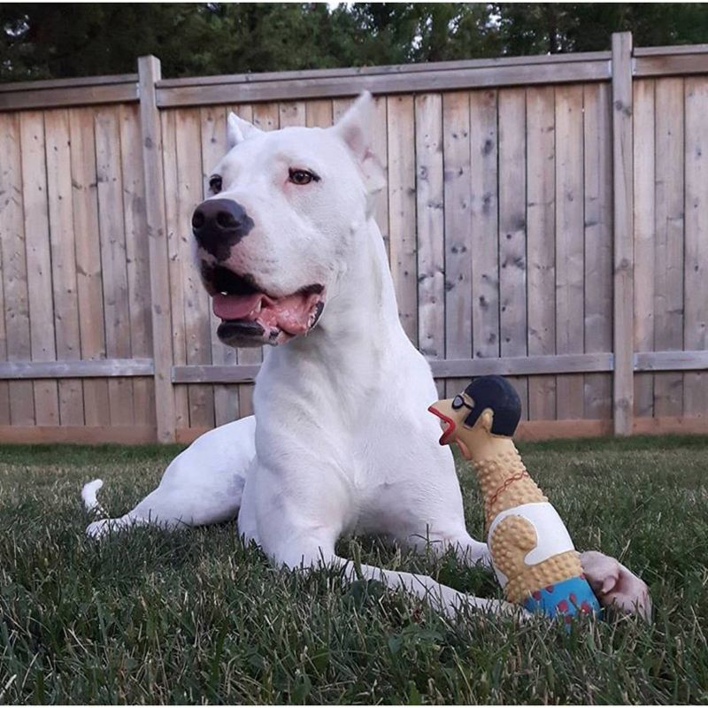 NERF Blitz Squeak Football Dog Toy - Green - 7"