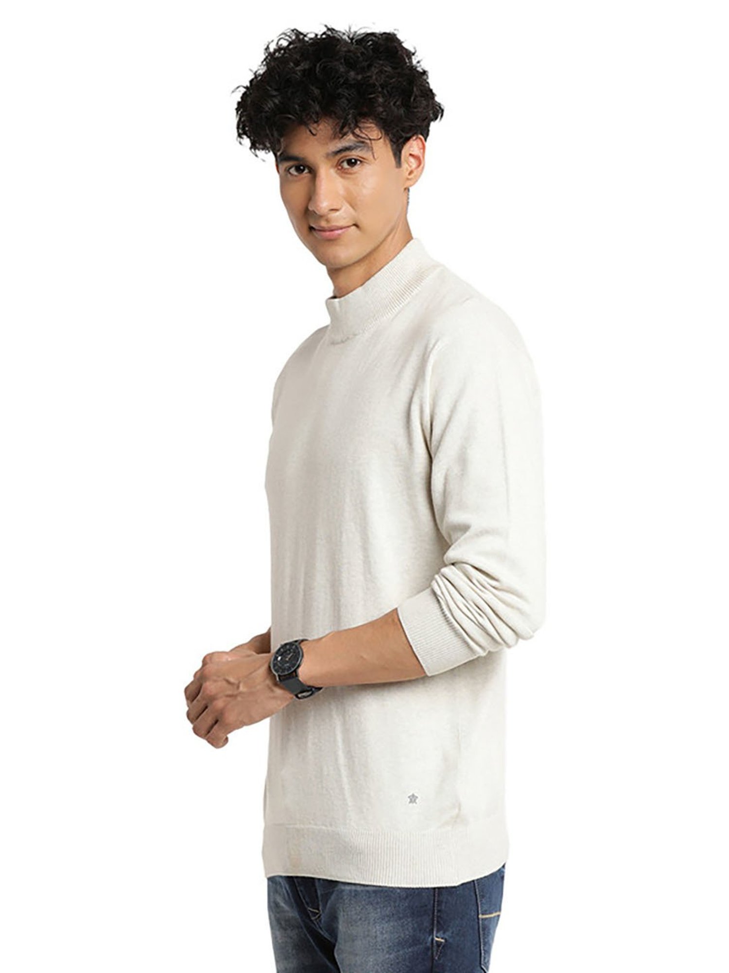 Turtle Beige Cotton Regular Fit Sweater