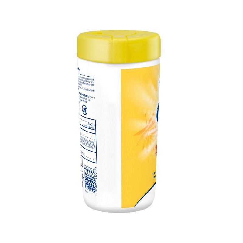 Wet Ones Antibacterial Hand Wipes Canister - Tropical Splash - 40ct